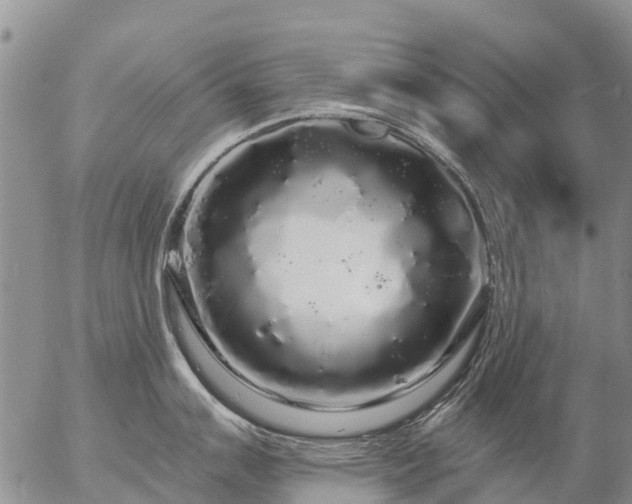 X0000057091007200509161624