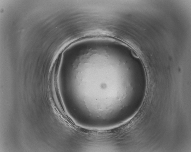 X0000057091008200509161624