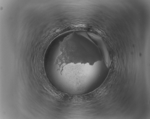 X0000057091009200509161624