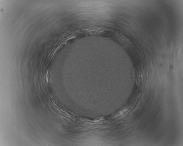 X0000057091010200509161624