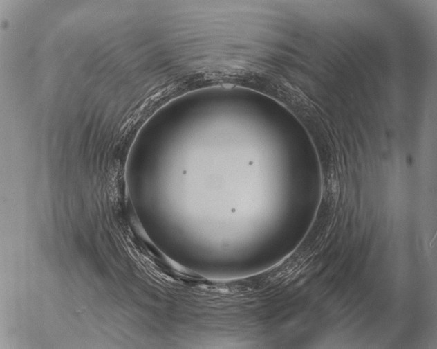 X0000057091012200509161624