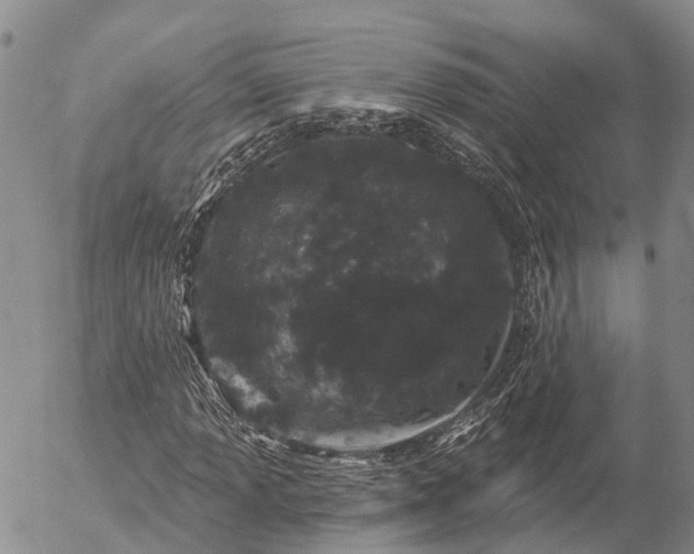 X0000057091013200509161624