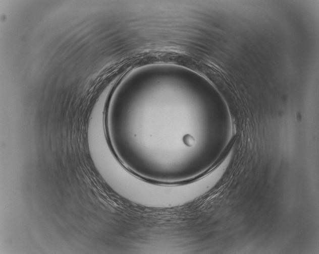 X0000057091014200509161624