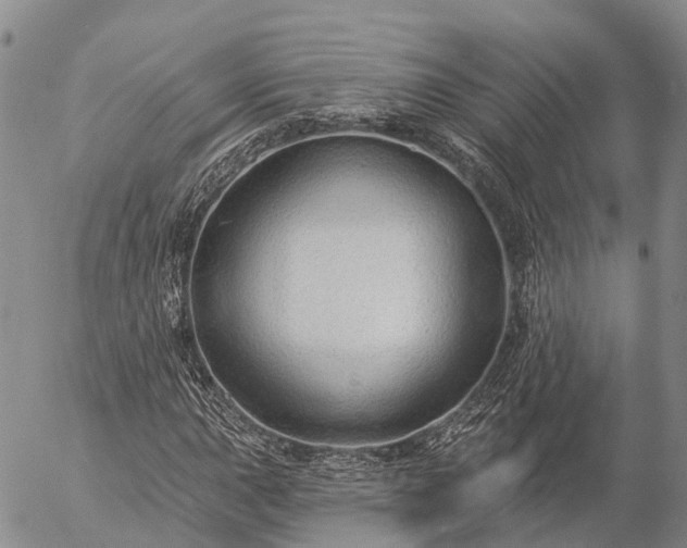 X0000057091015200509161624