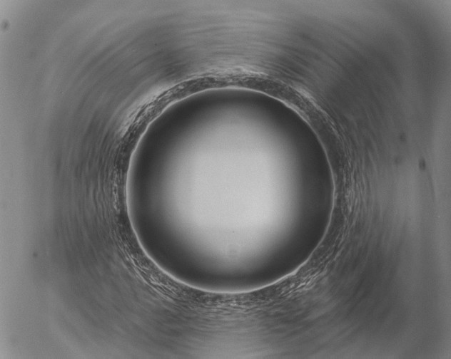 X0000057091016200509161624