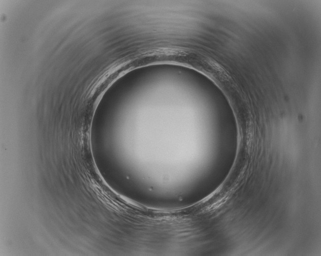 X0000057091017200509161624