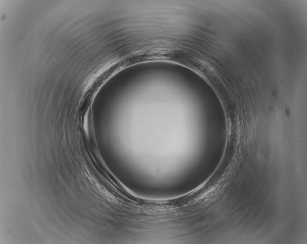 X0000057091018200509161624