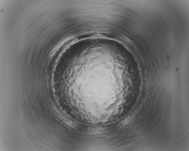 X0000057091019200509161624