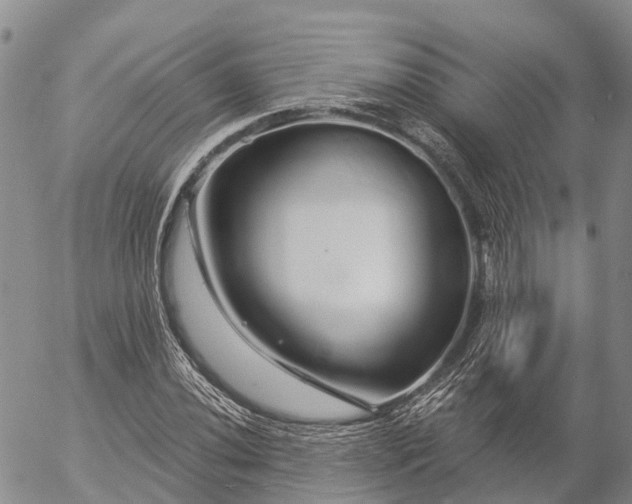 X0000057091020200509161624