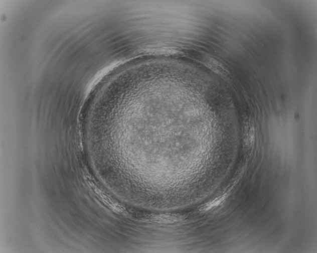 X0000057091022200509161624