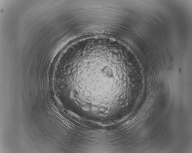 X0000057091023200509161624