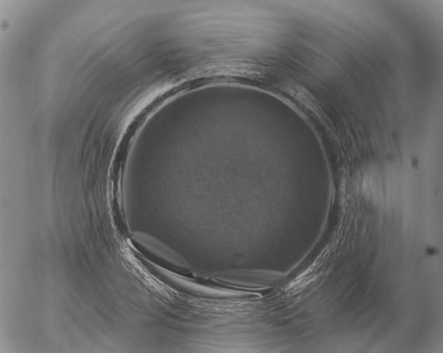 X0000057091024200509161624