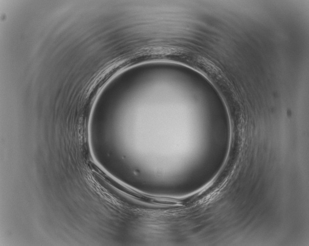 X0000057091025200509161624