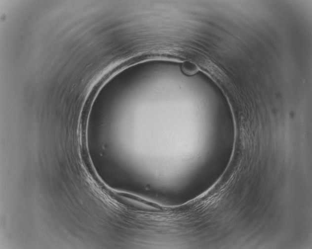 X0000057091028200509161624