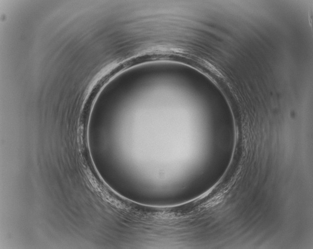 X0000057091029200509161624