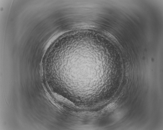 X0000057091031200509161624