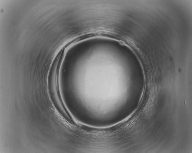 X0000057091032200509161624