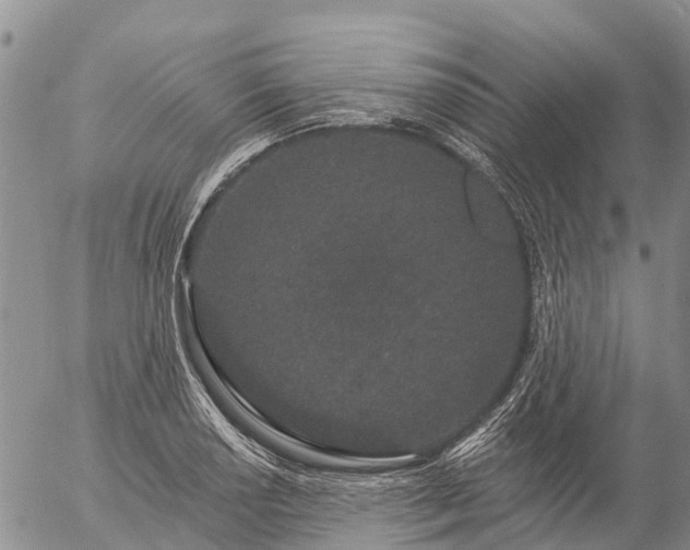 X0000057091034200509161624