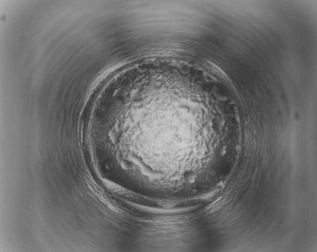 X0000057091035200509161624