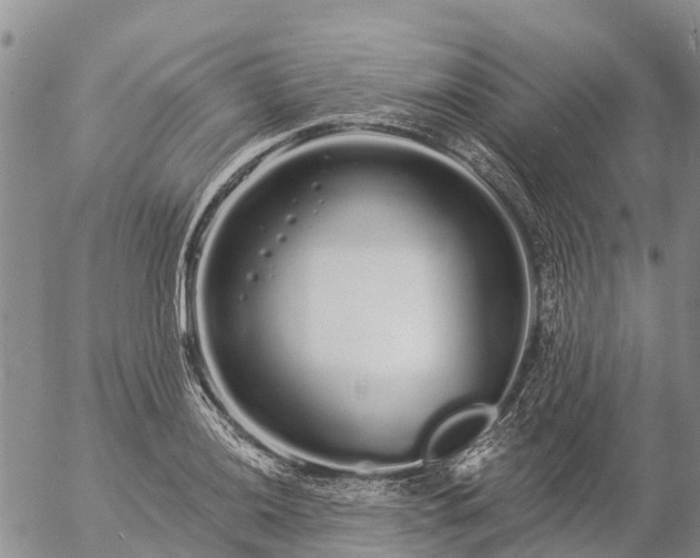 X0000057091036200509161624