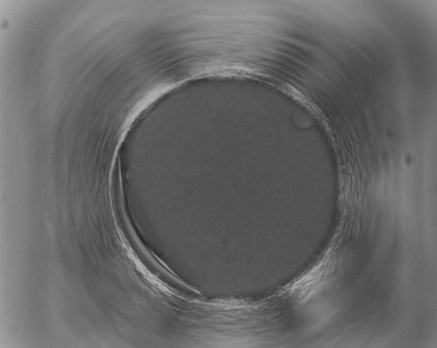 X0000057091037200509161624