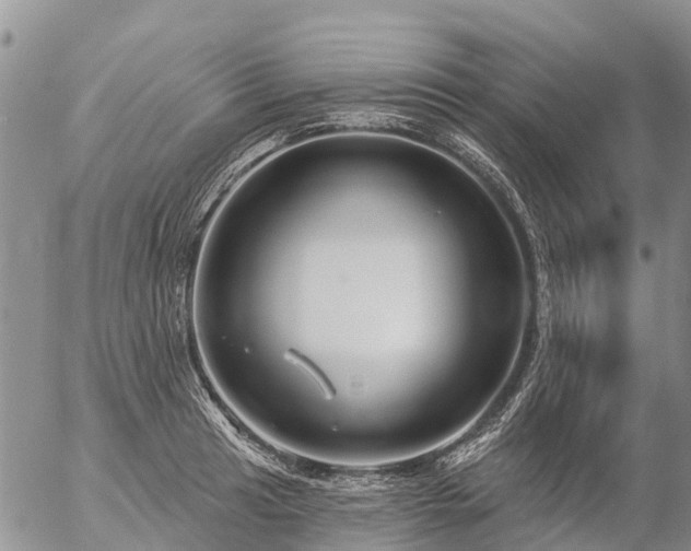 X0000057091041200509161624