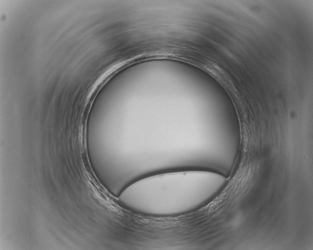 X0000057091044200509161624