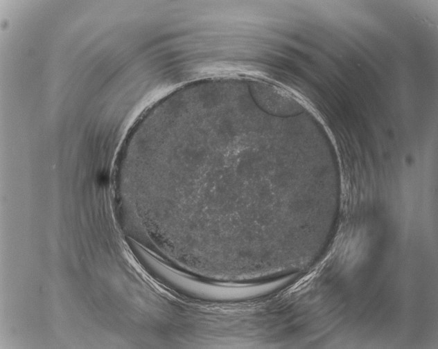 X0000057091045200509161624