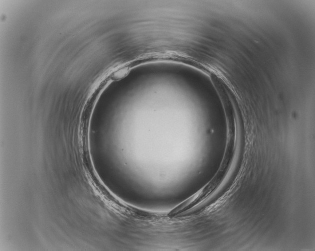 X0000057091046200509161624