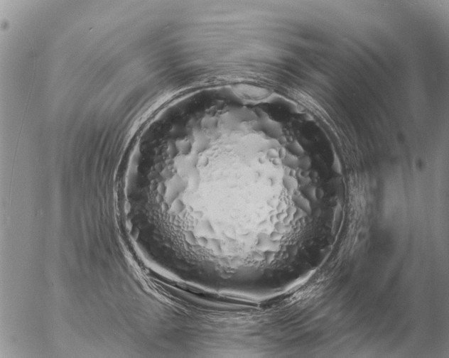 X0000057091047200509161624