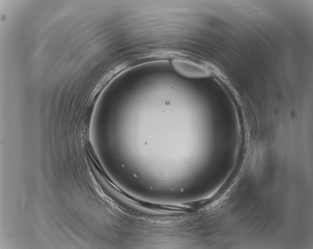 X0000057091049200509161624