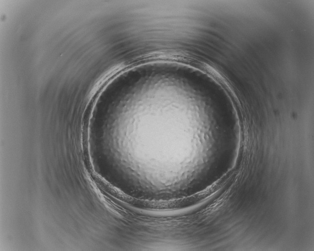 X0000057091050200509161624