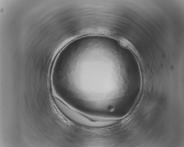 X0000057091052200509161624