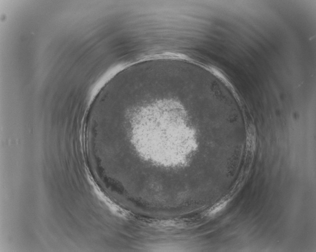 X0000057091054200509161624