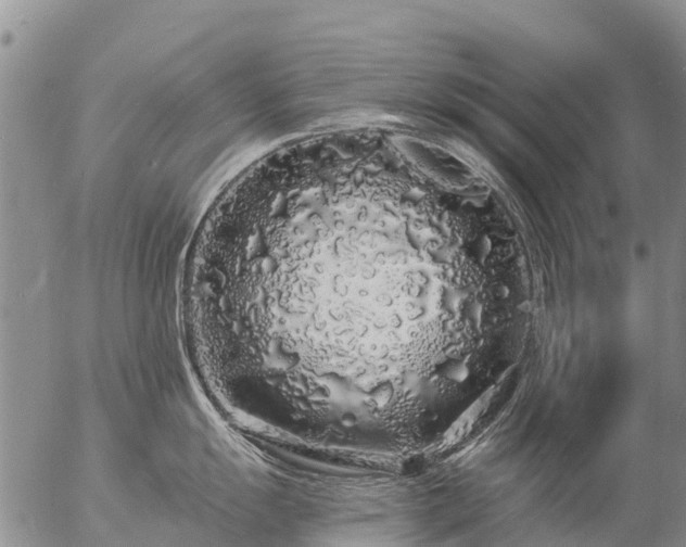 X0000057091055200509161624