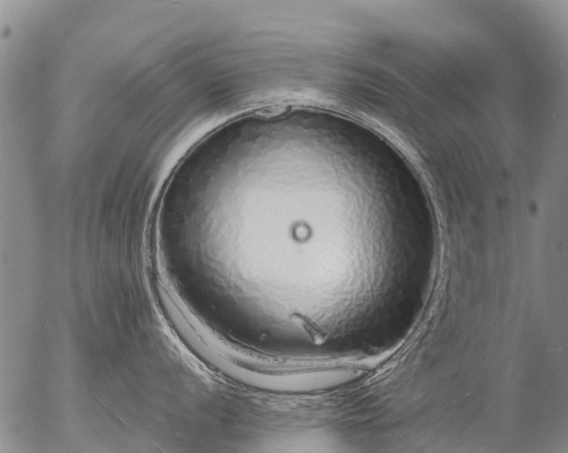 X0000057091056200509161624