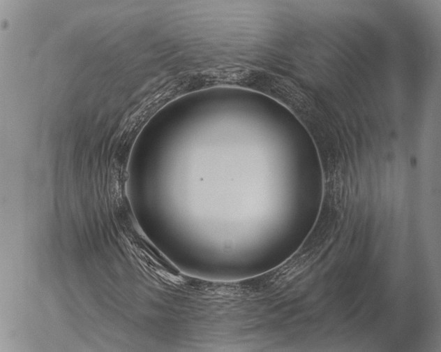 X0000057091058200509161624