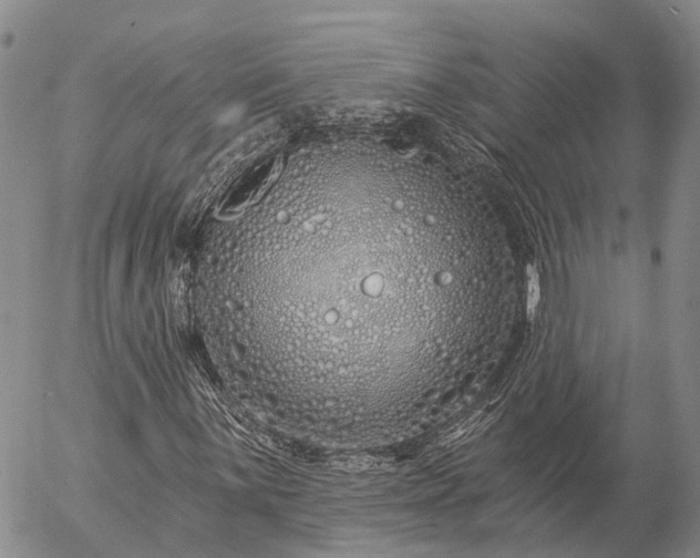 X0000057091059200509161624