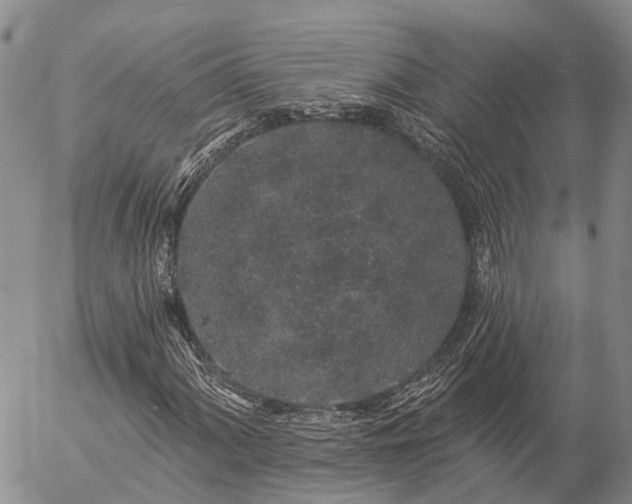 X0000057091060200509161624