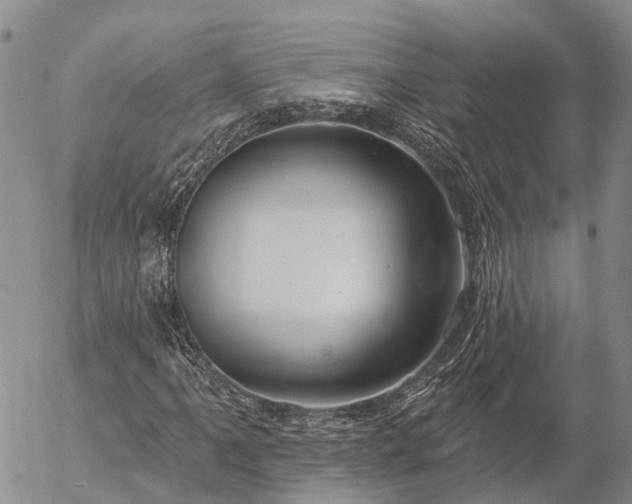 X0000057091061200509161624