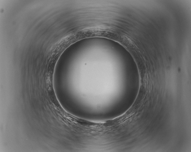 X0000057091062200509161624