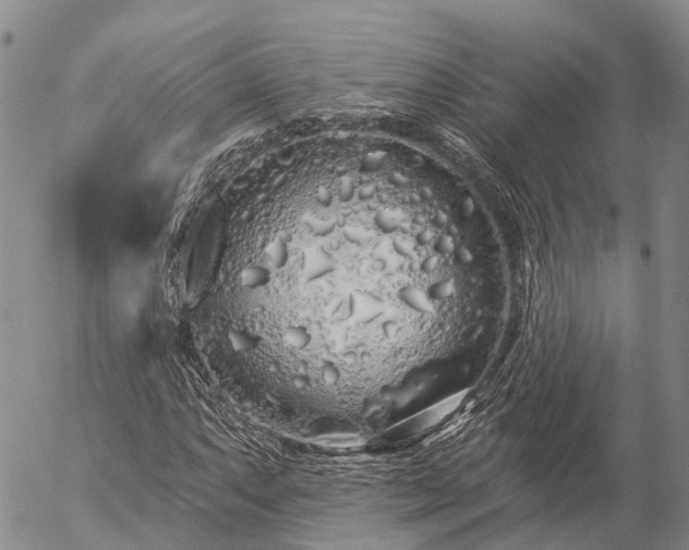 X0000057091063200509161624