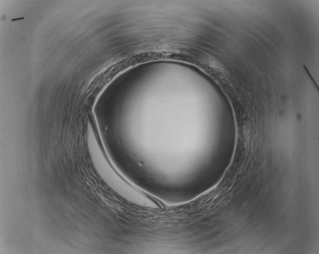 X0000057091064200509161624