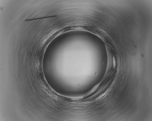 X0000057091065200509161624