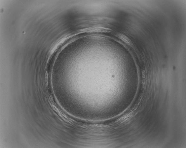 X0000057091067200509161623