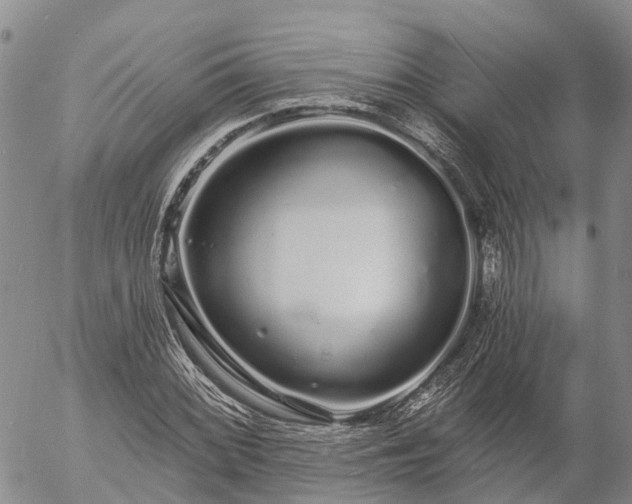 X0000057091068200509161623