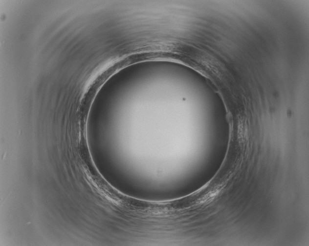 X0000057091069200509161623