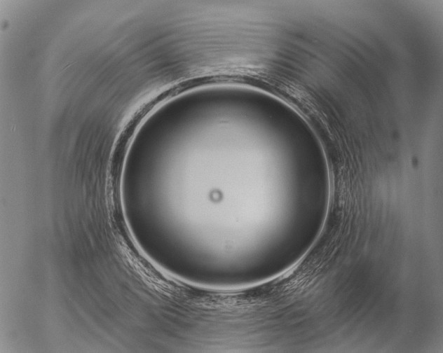 X0000057091072200509161623