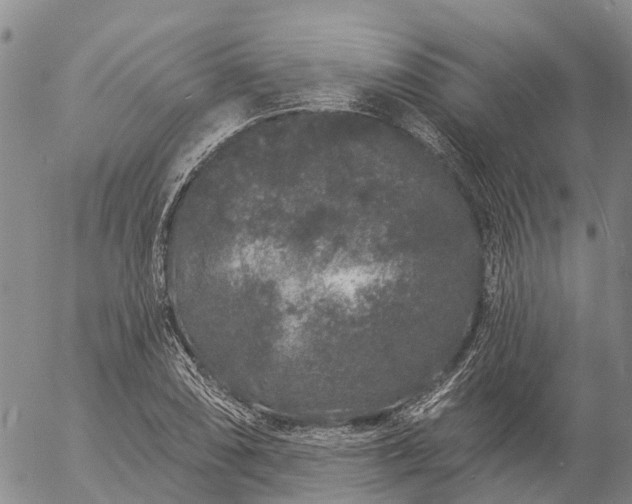 X0000057091074200509161623