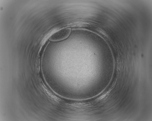 X0000057091075200509161623